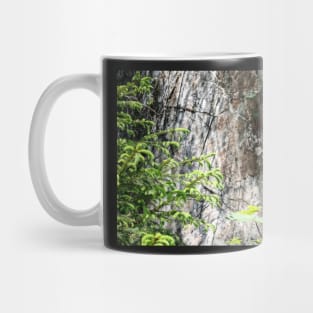 Lainbachtal - Abraded surface at geological fault Mug